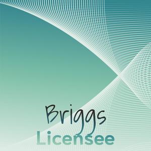 Briggs Licensee