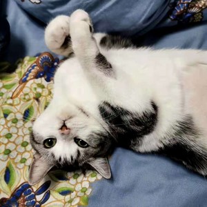 再见的，不见的