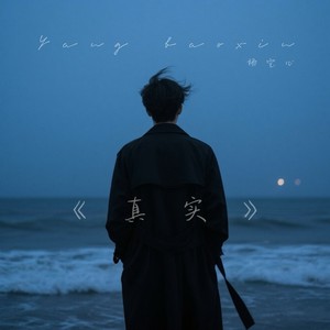 真实 (心痛比快乐更真实)-杨宝心