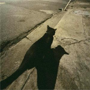 okay (feat. psyphxr, Jo.Sa. Morales & bean.) (Explicit)