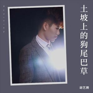 土坡上的狗尾巴草 (DJ版)