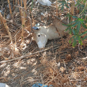 Huele a Humo Remaster (feat. Pistaxo) (Explicit)