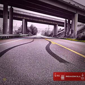 Roadkill (feat. Cyrus Sonata)