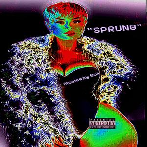 SPRUNG (Explicit)