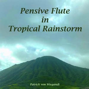 Pensive Flute in Tropical Rainstorm