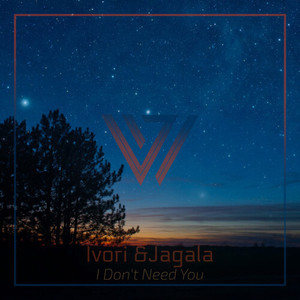 I Don't Need You