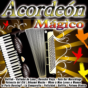 Acordeon Mágico