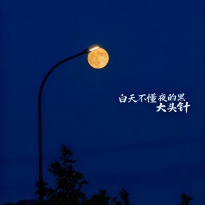 白天不懂夜的黑(你永远不懂我伤悲)