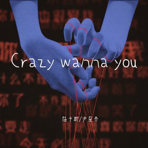 Crazy wanna you