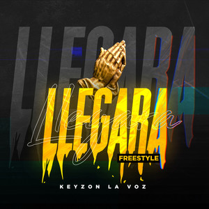 Llegara (Freestyle) [Explicit]