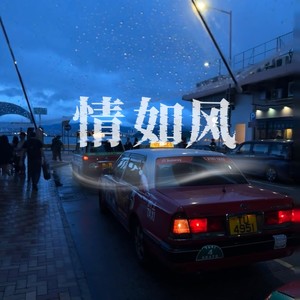 情如风