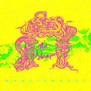 Wet Shampoo (VV55 Mix)