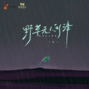 野草无人问津（玫瑰众人爱惜） (伴奏)
