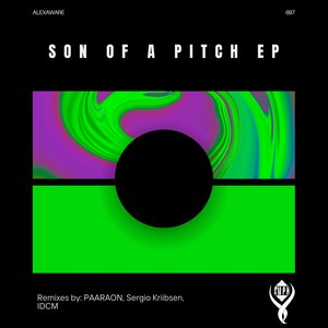 Son of a Pitch (PAARAON Remix)
