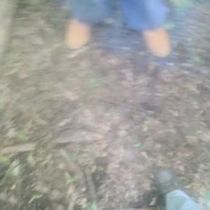 inEssencev3 (Explicit)