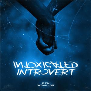 Intoxicated Introvert (Explicit)