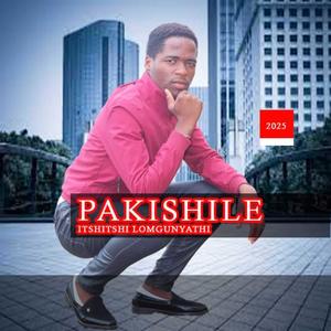 Dudlu ntombi (feat. Manqoba)