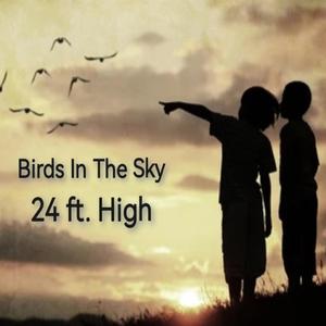 Birds In The Sky