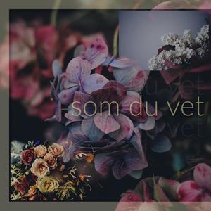 Som Du Vet (Explicit)