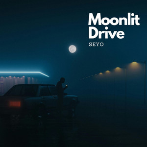 Moonlit Drive