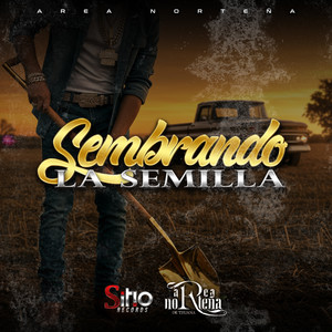 sembrando la semilla