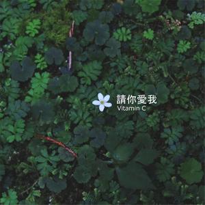 注册不了Vitamin C - 请你爱我