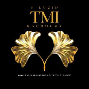 TMI (feat. Raddoggy) (Explicit)