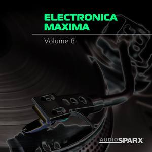 Electronica Maxima Volume 8