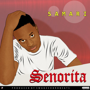 Senorita (Explicit)