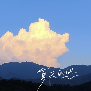 夏天的风