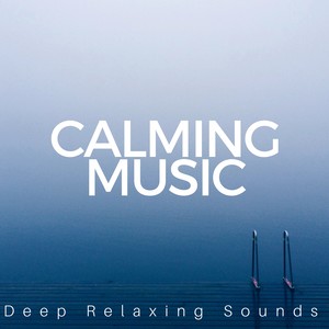 Calming Music: Deep Relaxing Sounds, Balanced Life, Better Concentrarion, Meditative Power, Inner Therapy