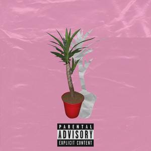 House Plants (feat. Minah Jay) (Explicit)