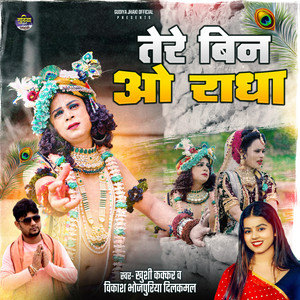 Tere Bin O Radha