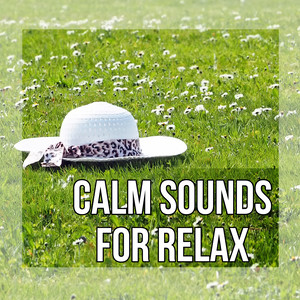 Calm Sounds for Relax - Deep Meditation, New Age, Lullabies, Nature Sounds, Melody for a Dream, Relaxation