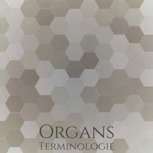 Organs Terminologie