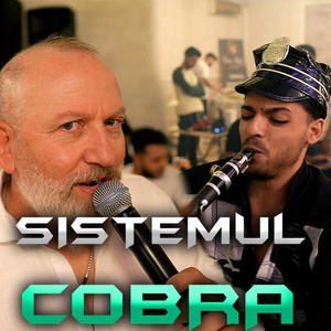 Sistemul Cobra