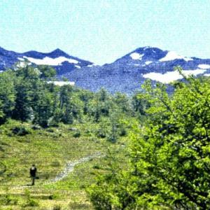 Simplicidá (Explicit)