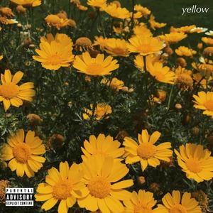 SONRISE (Explicit)