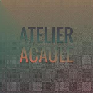 Atelier Acaule