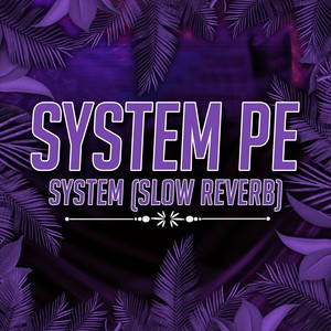 System Pe System