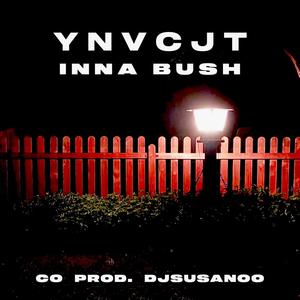 Inna Bush (feat. DJSUSANOO) (Explicit)