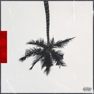 Coconut Trees (Explicit)