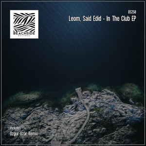 In The Club (Ozgur Uzar Remix)