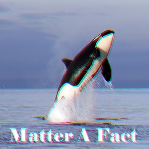 Matter A Fact