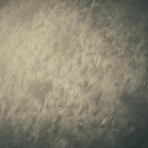 sheets(feat. Seilen)