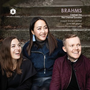 Trio for clarinet, violoncello and piano in A minor, op. 114 - Clarinet Trio in A Minor, Op. 114: I. Allegro
