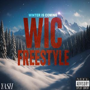 WIC FREESTYLE (Explicit)