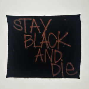 bangfreedaguyz (Explicit)