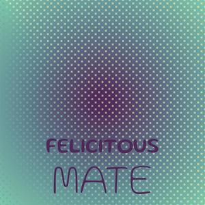 Felicitous Mate