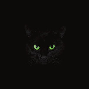 BLACK CATS (Explicit)